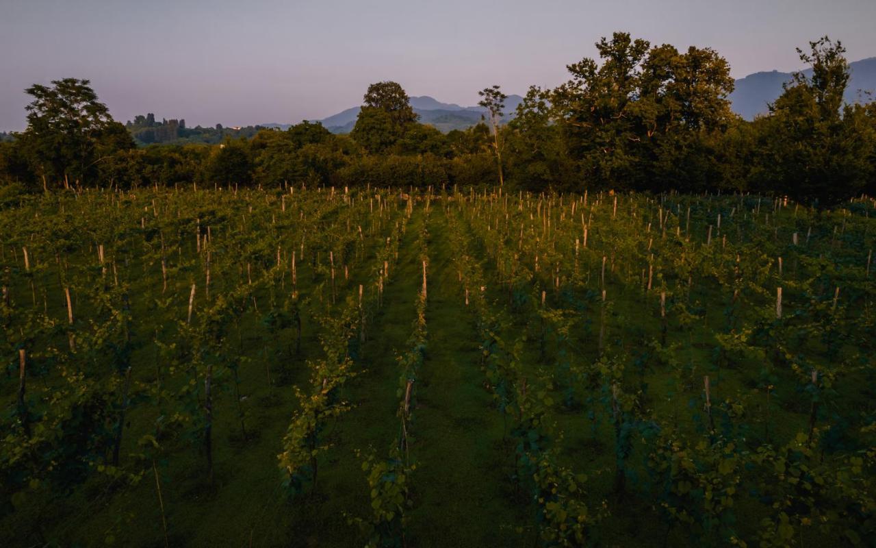 Отель Menabde Winery Ozurget'i Экстерьер фото