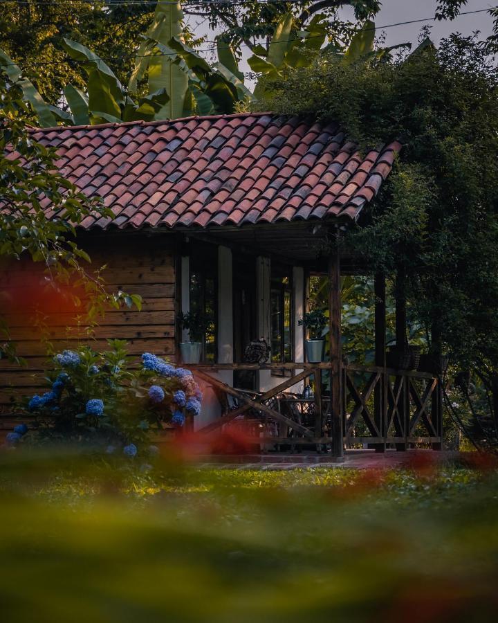 Отель Menabde Winery Ozurget'i Экстерьер фото